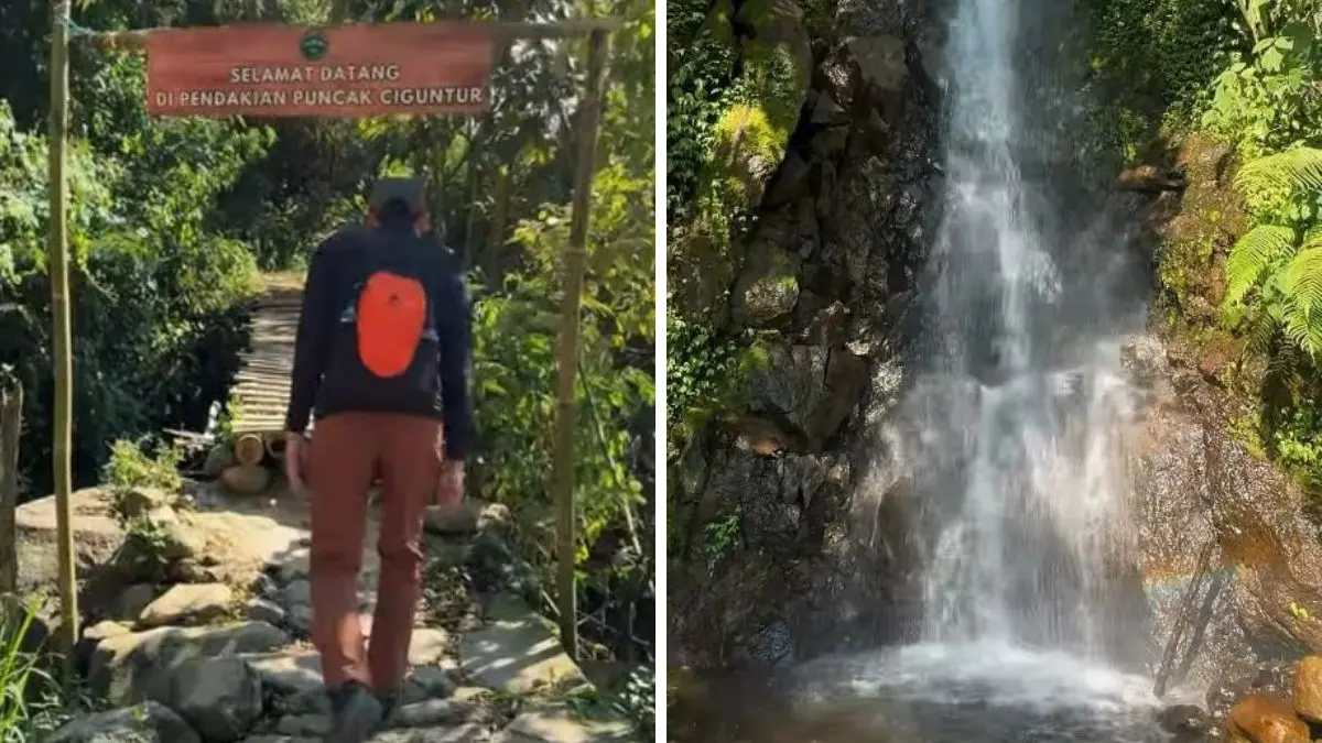 Suasana tracking ke Puncak Ciguntur Sukamakmur Bogor.&nbsp;(Foto: Instagram @heri_swn)