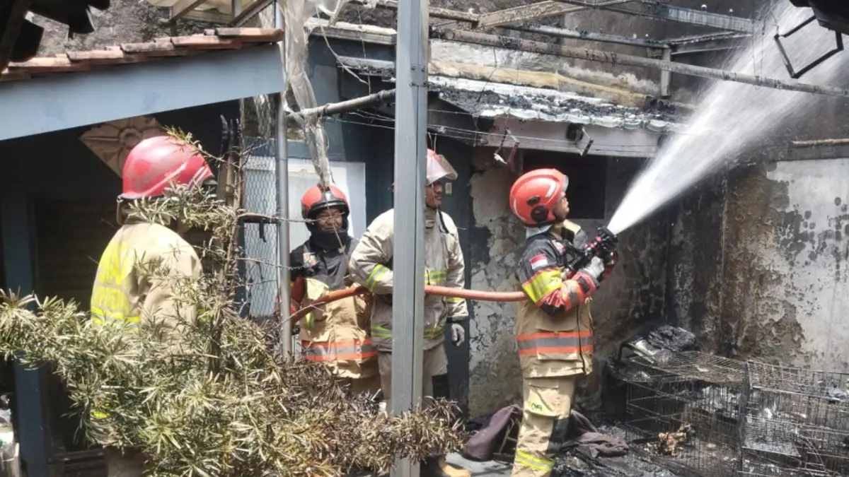 Petugas Damkar saat memadamkan api di rumah warga Sukaraja, Kabupaten Bogor yang kebakaran. (Dok. Damkar Kota Bogor)
