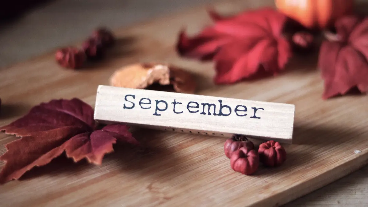 Ilustrasi jadwal pencairan TPG September 2026 (Pexels/Aleksandar Cvetanovic)