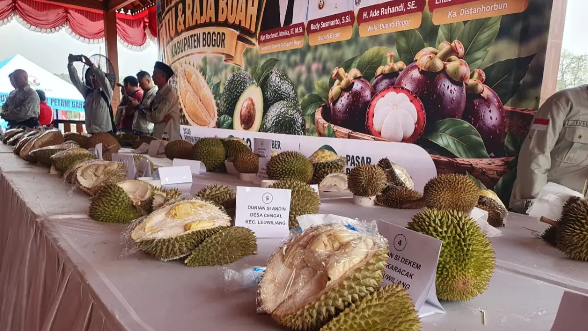 Festival ratu dan raja buah di Kabupaten Bogor. (Billy/Radar Bogor)