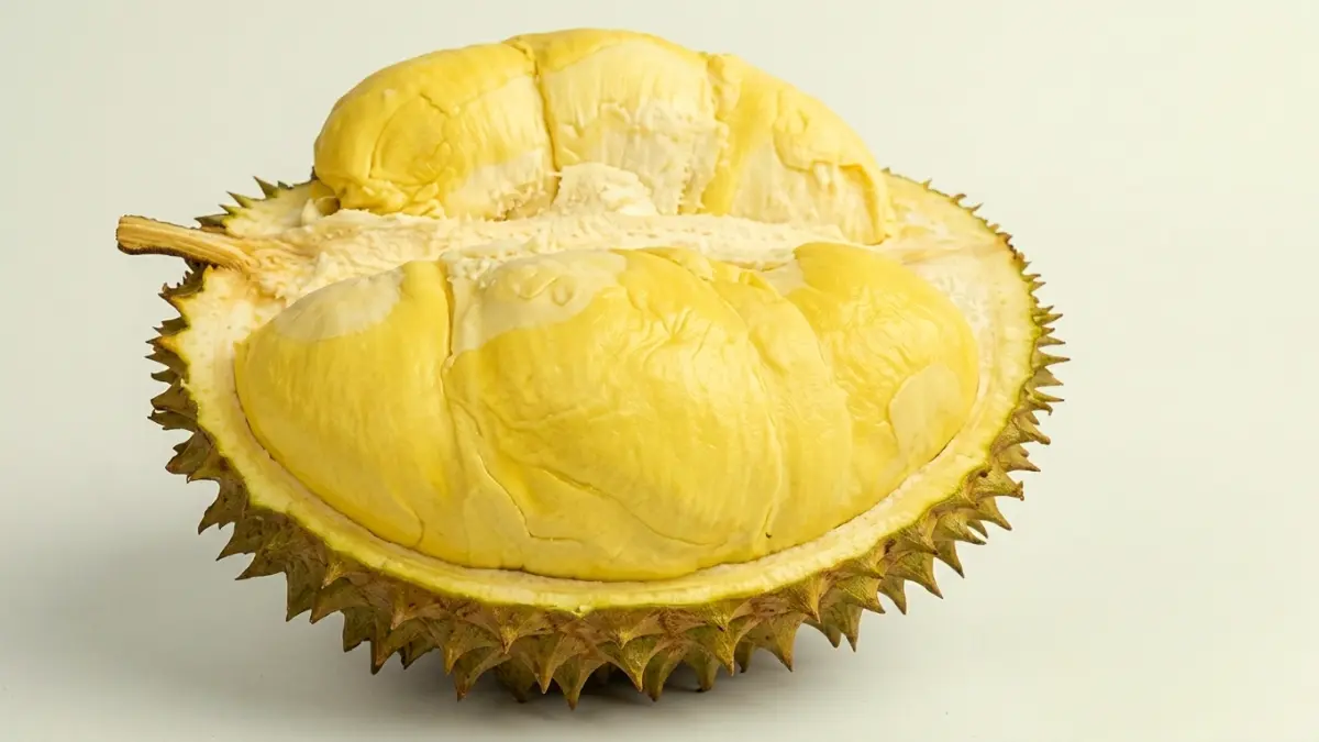 Durian Matahari dari Bogor enak dimakan bersama teman dan keluarga.