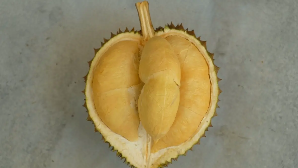 Durian Nanga menjadi salah satu rekomendasi kulineran bersama orang tercinta.