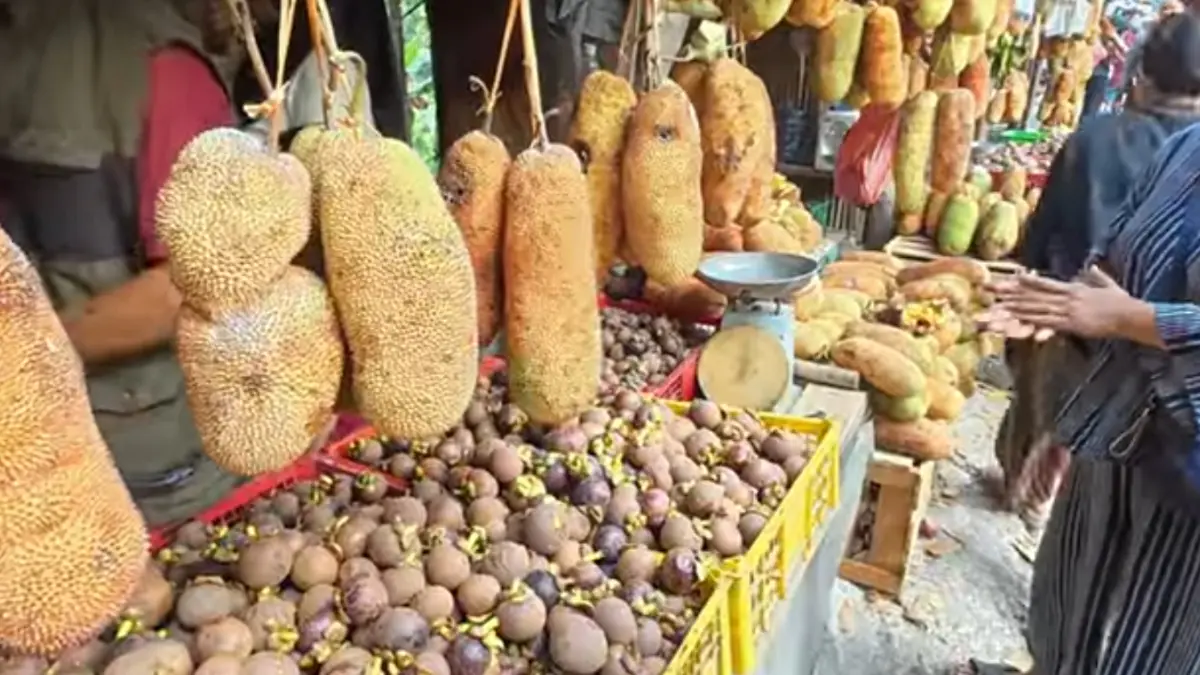 Nangka Cempedak Pak Kosim (YouTube Bang Edhy Ompong&nbsp;)