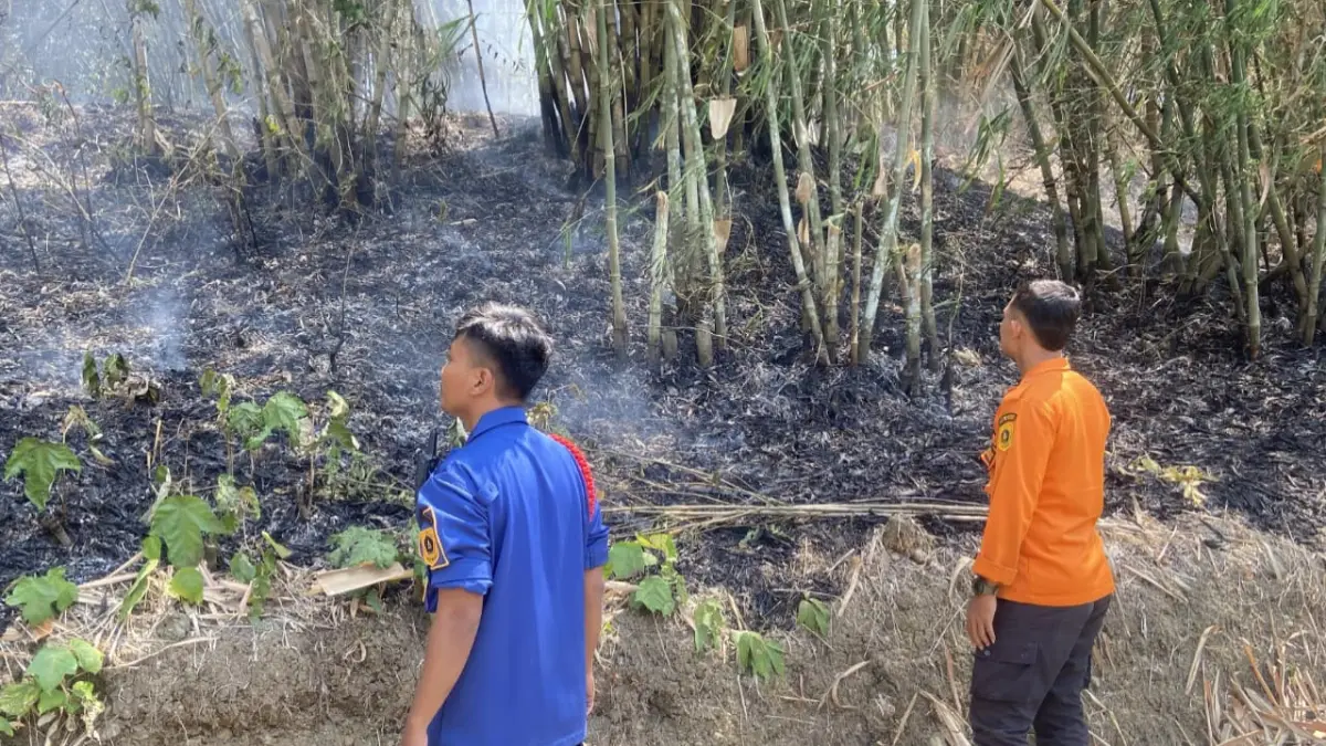 Petugas saat memadamkan api dilahan yang kebakaran di Desa Cibatutiga, Kecamatan Cariu, Kabupaten Bogor, Selasa, 15 September 2026. (Dok. BPBD Kabupaten Bogor)