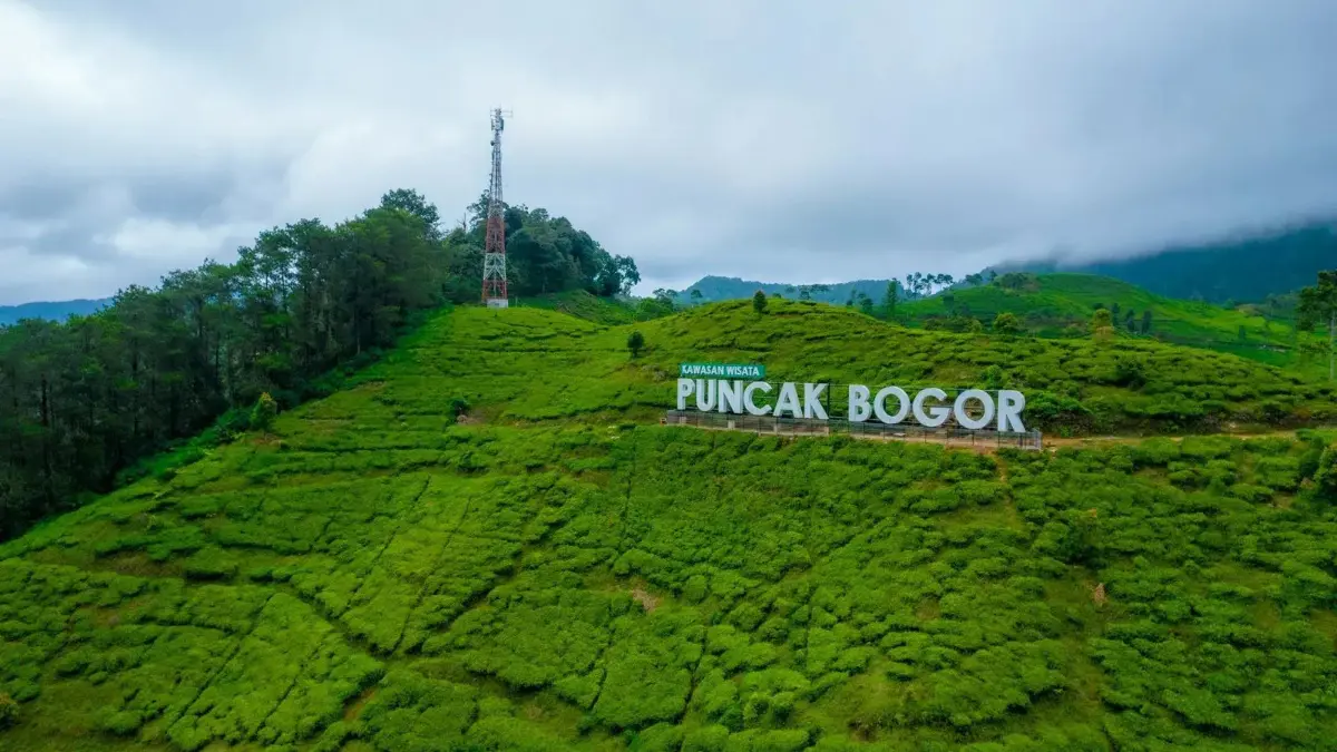 Ilustrasi Kawasan Puncak Bogor. Kecelakaan kembali terjadi di Tanjakan Selarong di kawasan dingin tersebut. Foto: Laman Bobobox