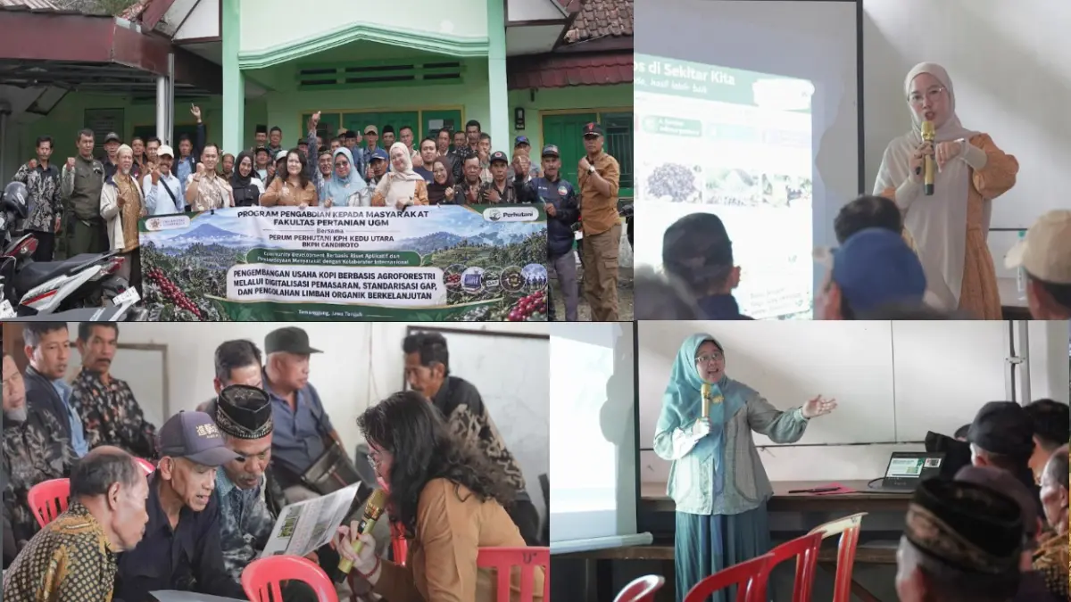 Petani kopi mengikuti kegiatan pengabdian kepada masyarakat Fakultas Pertanian UGM bersama Perum Perhutani KPH Kedu Utara di BKPH Candiroto, Temanggung