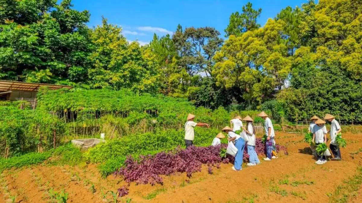 Kegitan wisata edukatif di Kuntum Farmfield Bogor. Foto: Instagram