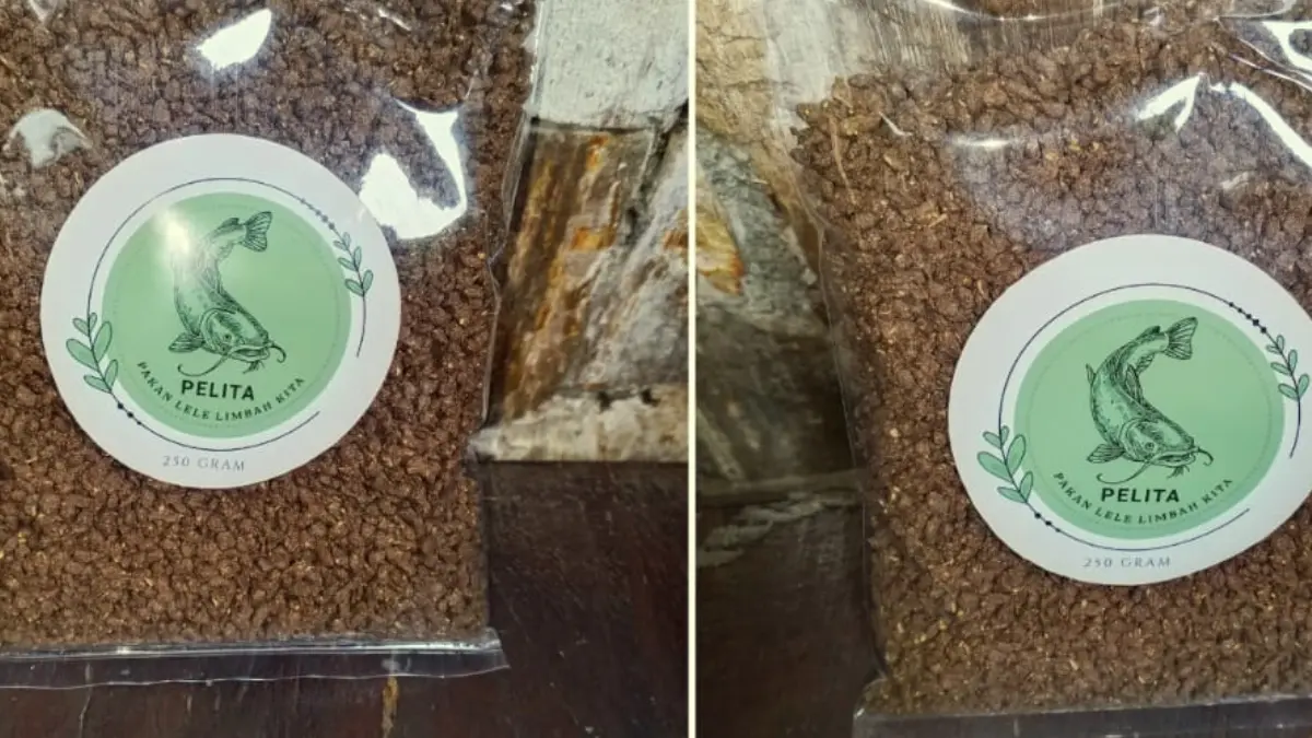 Pelita adalah inovasi SMPN 4 Bogor yang mengubah limbah jadi pakan lele.