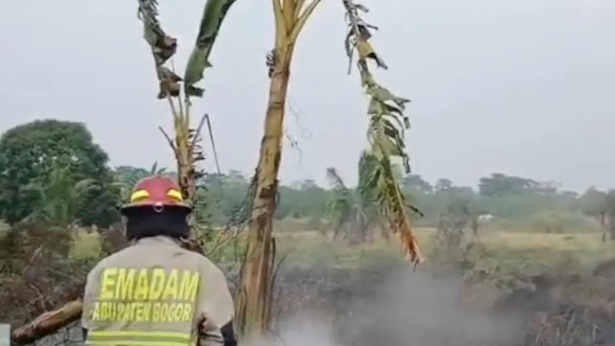 Kebakaran lahan di Desa Dayeuh, Kecamatan Gunung Putri, Kabupaten Bogor, Kamis, 24 September 2026. (Damkar Kabupaten Bogor)
