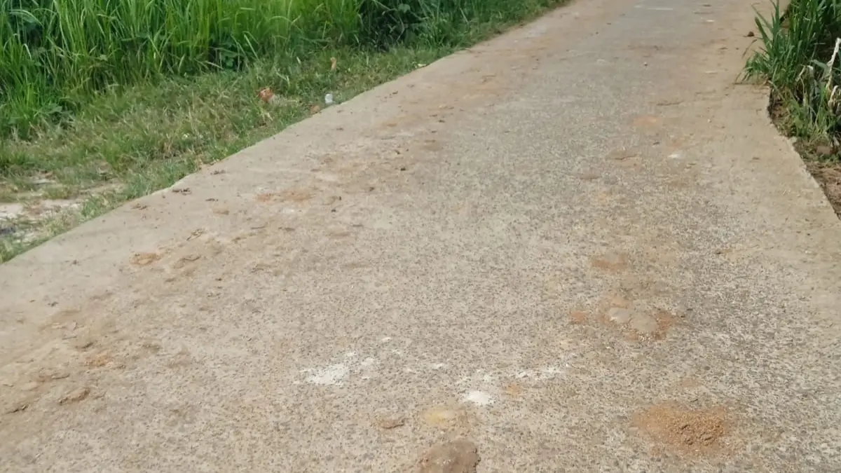 Kondisi jalan di Kampung Kramat Iyok Cihoe Desa Kuripan, Kecamatan Ciseeng, Kabupaten Bogor. (Nasir/Radar Bogor)
