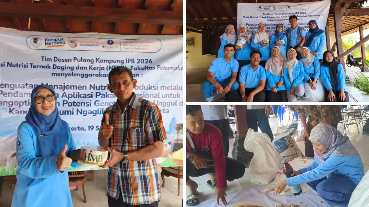 Peternak di Selaman saat mendapatkan pembekalan mengenai manajemen nutrisi dan formulasi pakan fungsional dari tim dosen Fapet IPB University.