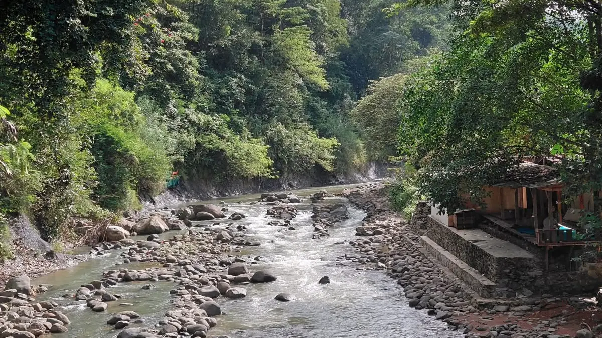 Suasana Sentul Eco Edu Tourism Forest yang dikelilingi hutan hijau, aliran sungai, serta area camping bagi pengunjung. Foto : Instagram @sentulecoedu.econique