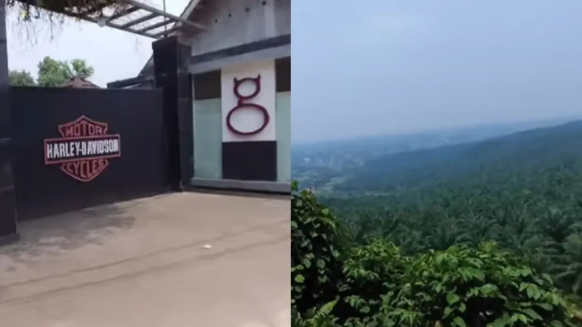 Ilustrasi Puncak Rarata Bogor. (YouTube Amri Ngapak)