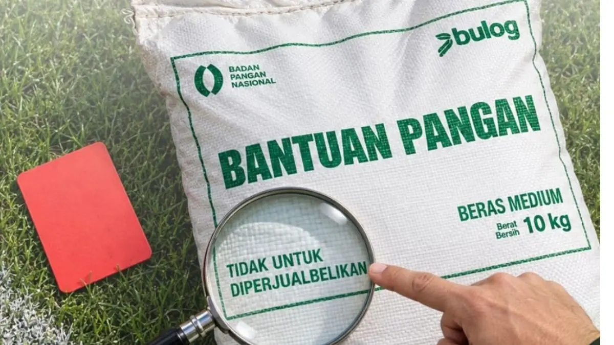 Ilustrasi bansos beras (Instagram @badanpangannasional)
