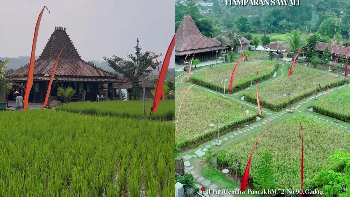 Suasana di Ngopi Di Sawah (Instagram @ngopidi.sawah)