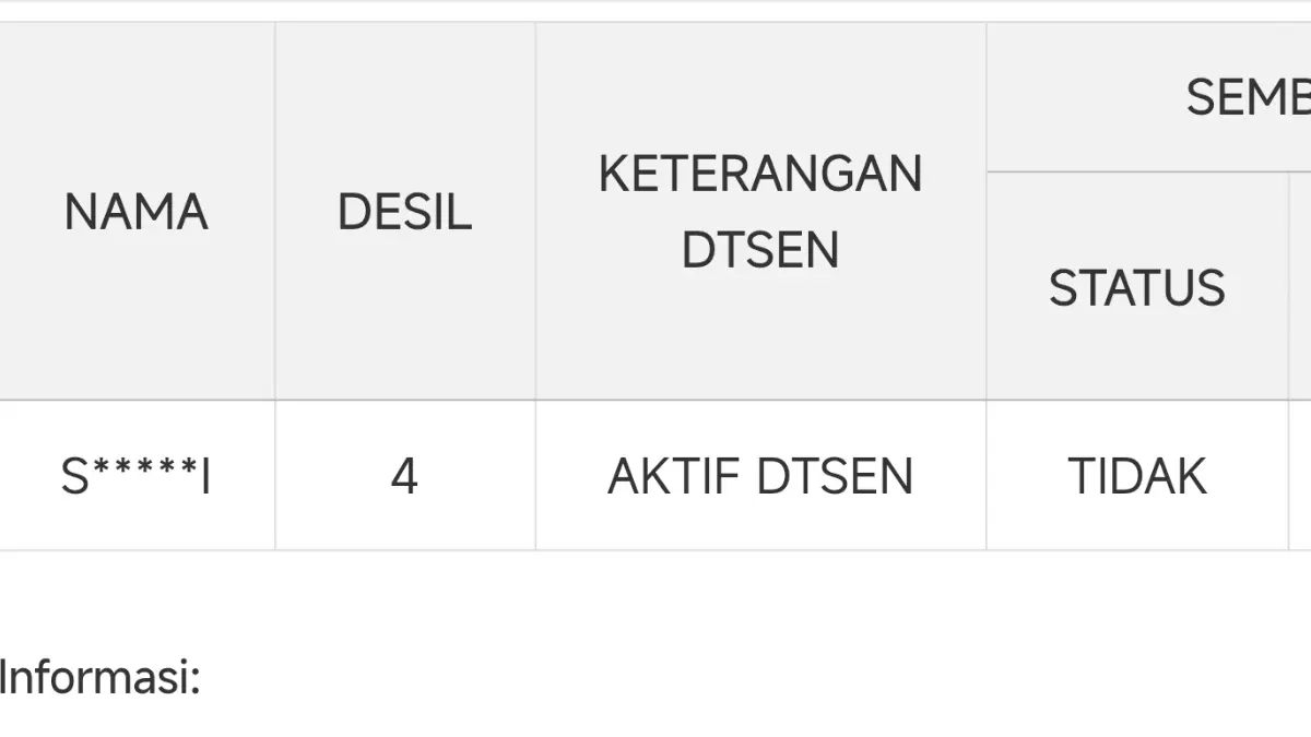 Keterangan Aktif DTSEN di situs Cek Bansos (cekbansos.kemensos.go.id)