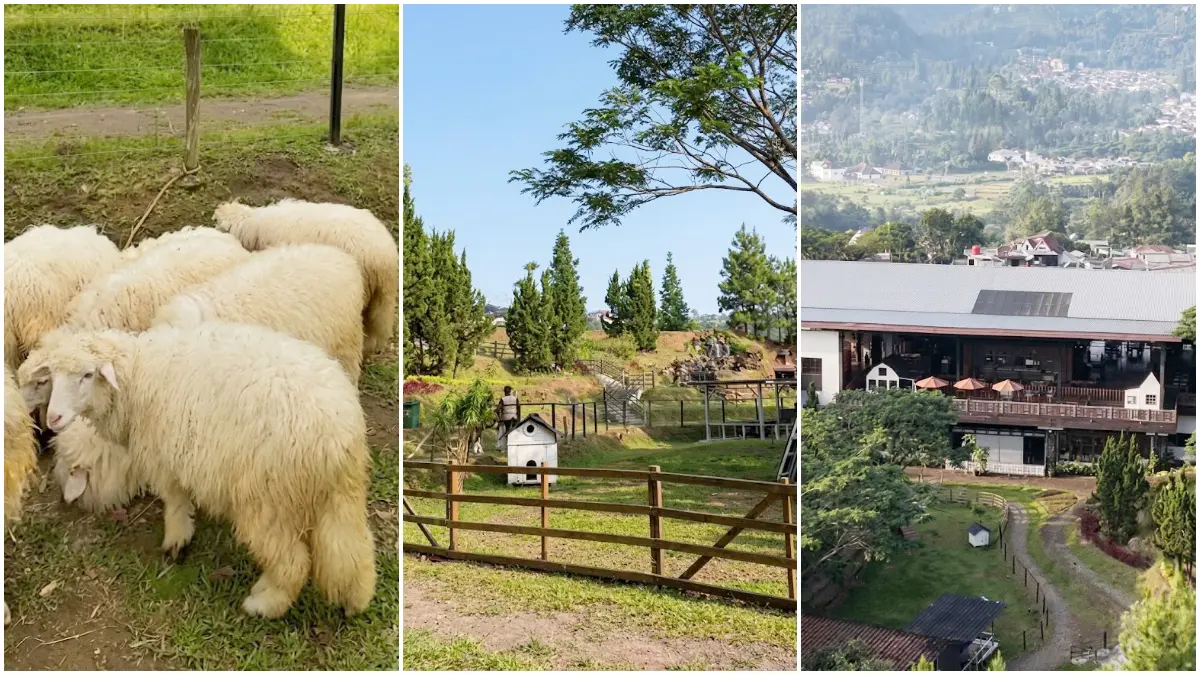 De Valais Garden menjadi salah satu pilihan wisata edukasi satwa yang dapat dinikmati bersama keluarga. (Foto: Instagram @devalais.resto)