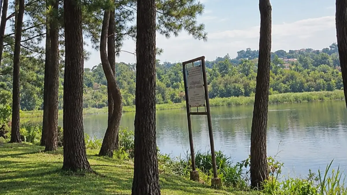 Taman Pinus Bilabong, Bogor. Foto tiktok : @Abdul Aziz