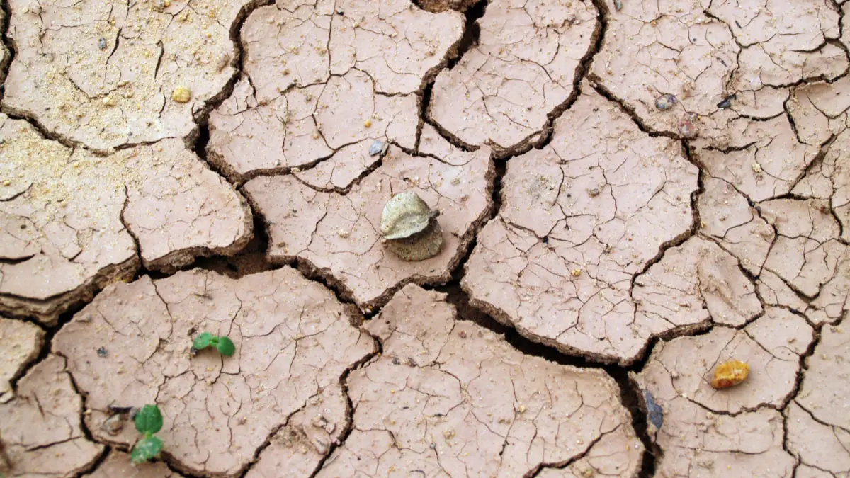 Ilustrasi kekeringan meteorologis (Pexels/icon0 com)