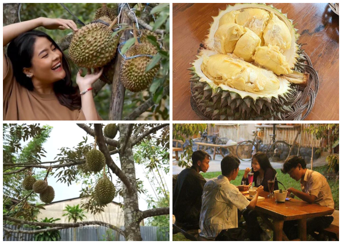 Cafe Bawor Jaya Nagara yang berlokasi di Jayanagara Farm, Kampung Cipopokol RT 06 RW 05, Desa Pasir Muncang, Kecamatan Caringin, Kabupaten Bogor, Jawa Barat 16730.