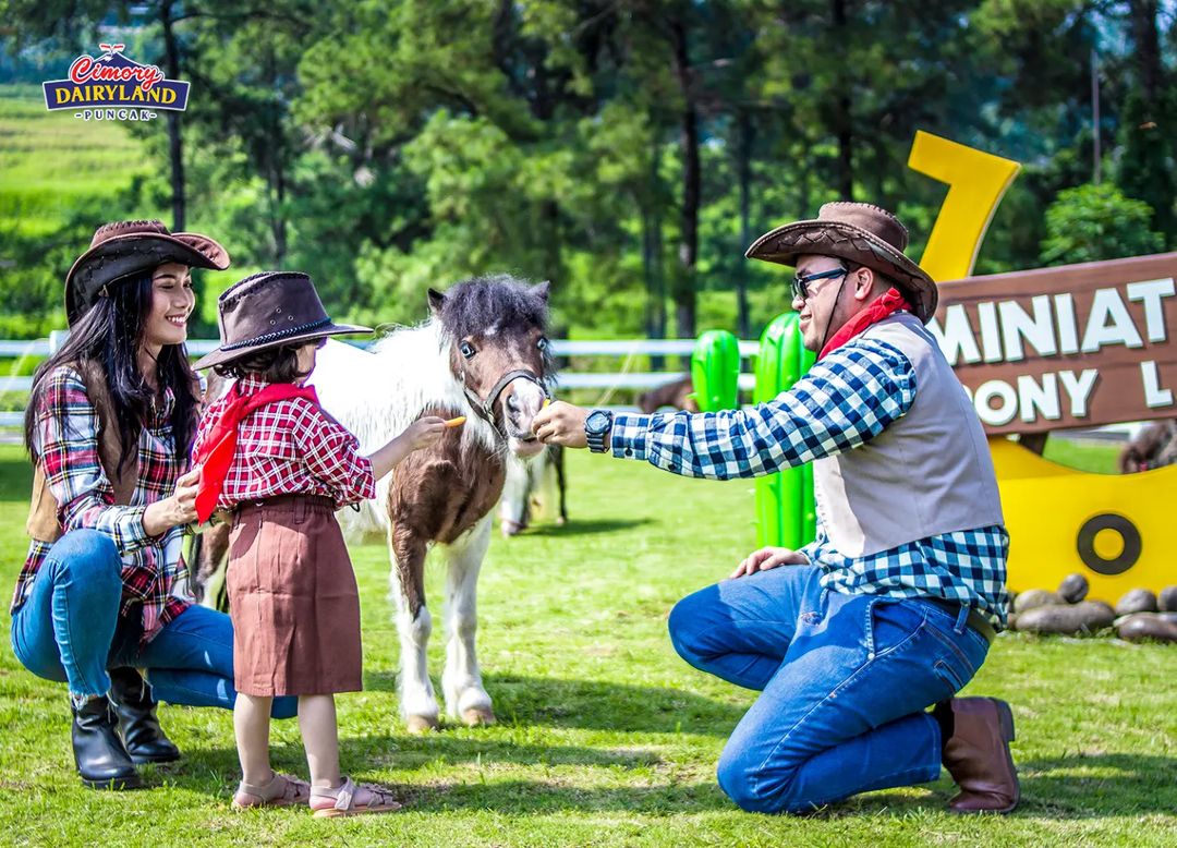 Cimory Dairyland Farm Theme Park Puncak, Kabupaten Bogor, Jawa Barat.  Foto IG Cimory Dairyland Farm Official