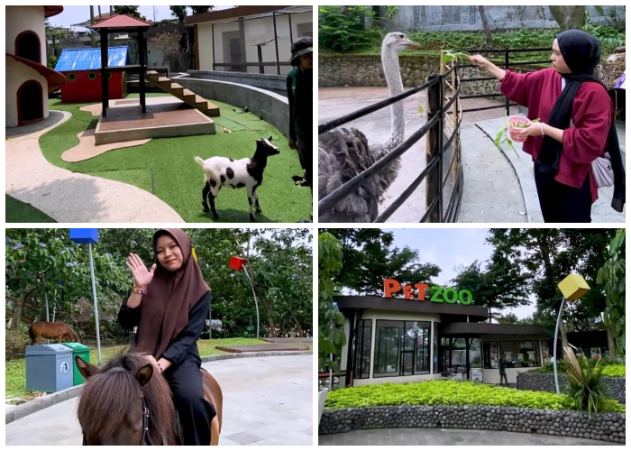 Fet Zoo Jalan Raya Tajur, Kota Bogor.