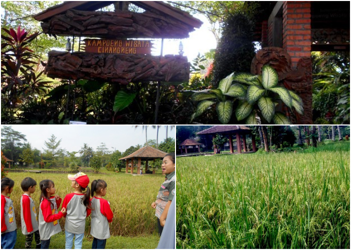 Kampung Wisata Cinangneng yang berada di Jalan Babakan Kemang, Desa Cihideung Udik, Kecamatan Ciampea, Kabupaten Bogor, Jawa Barat.