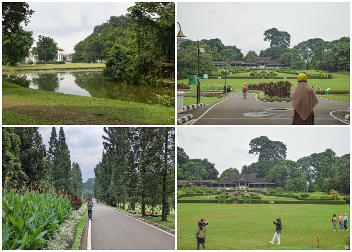 Spot-spot foto keren yang ada di Kebun Raya Bogor. Foto Muhammad Syahid Abdillah/PKL Radar Bogor