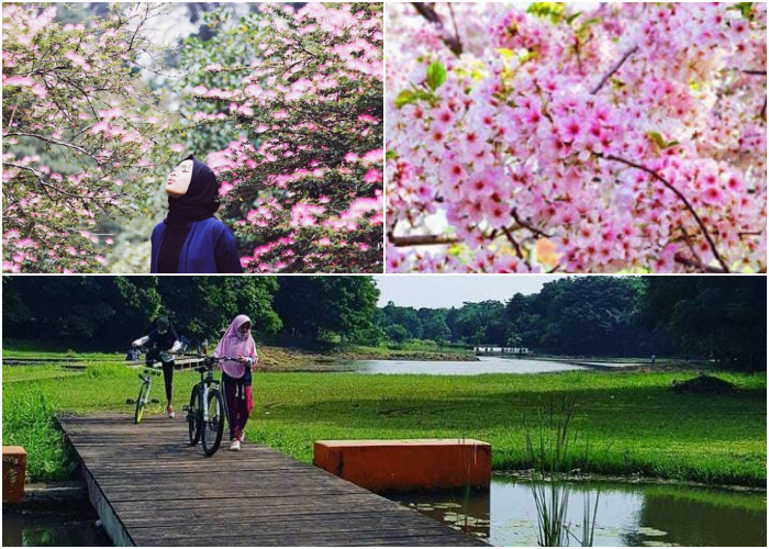 Kebun Raya Cibodas, Cianjur, Jawa Barat.