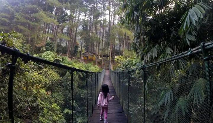 Lokasi wisata Suaka Elang Loji Bogor. Foto: wisatahalimun.co.id