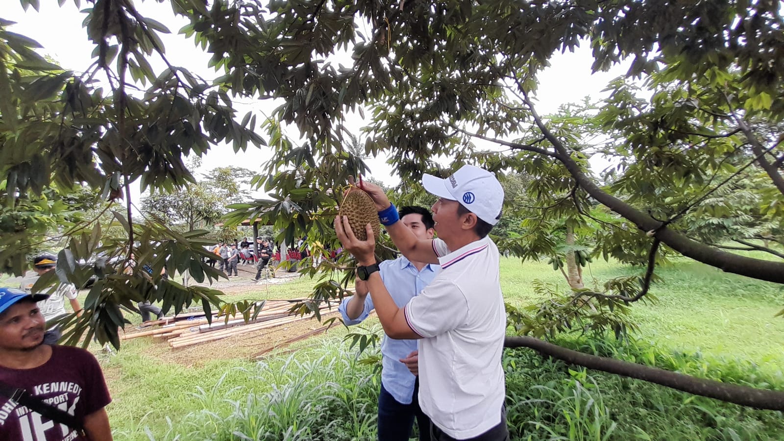 Wakil Wali Kota Bogor, Dedie A Rachim saat panen buah durian di Vigano Farm Rancamaya, Kota Bogor. Foto: Reka/Radar Bogor