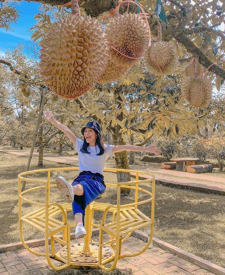 Wisata kebun durian Warso Farm di Desa Cipelang, Kecamatan Cijeruk, Kabupaten Bogor, Jawa Barat, Foto IG Warso Farm