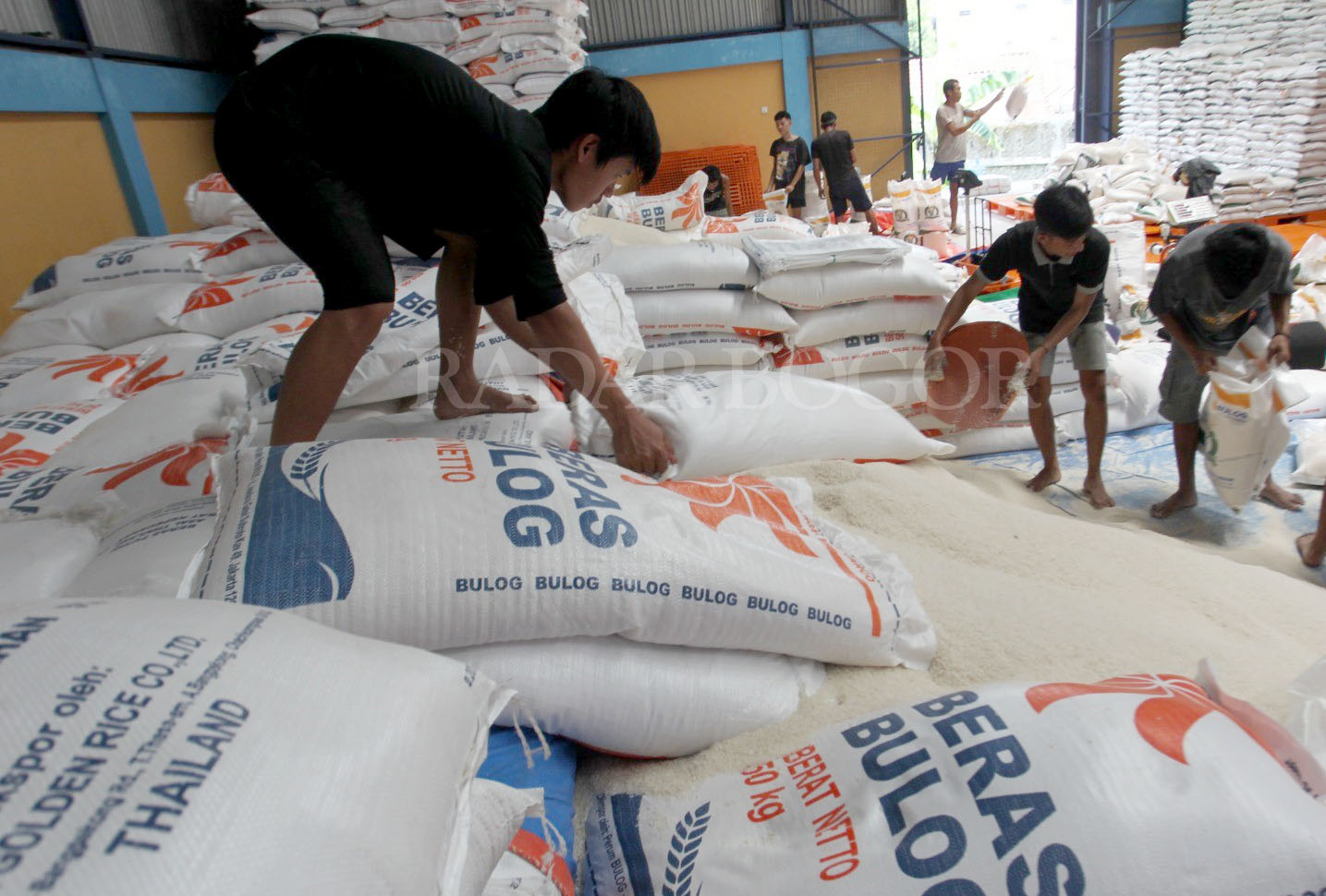 Pekerja merapikan beras di Gudang Bulog, Kabupaten Bogor, Jawa Barat. Selasa (27/2/2024).