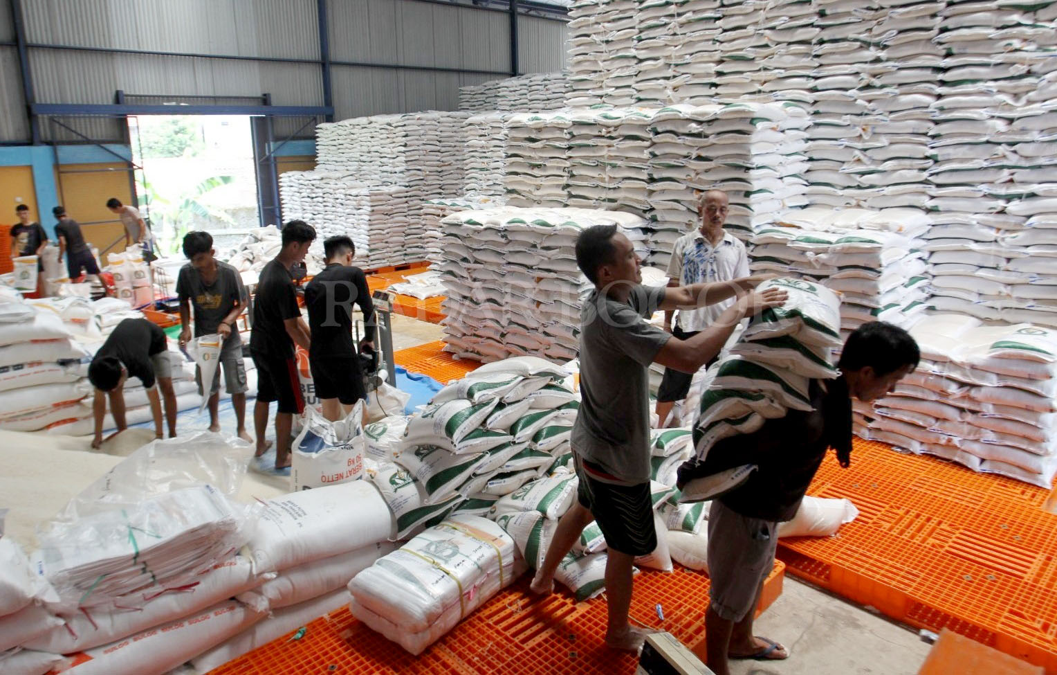 Pekerja merapikan beras di Gudang Bulog, Kabupaten Bogor, Jawa Barat. Selasa (27/2/2024). Menurut data Bulog ketersediaan beras saat ini sekitar 6.000 ton, stok tersebut berada diambang aman hingga awal Juni mendatang, sementara Bulog memiliki target peny