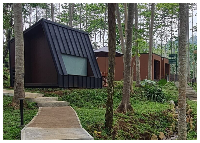 Bobocabin The Tavia Puncak yang terletak di tengah hutan pinus dan dekat dengan aliran Sungai Ciliwung, Puncak, Kabupaten Bogor.