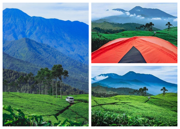 Camping Ground Gunung Luhur di Kampung Cikoneng, Desa Tugu Utara, Kecamatan Cisarua, atau sekitar 2,5 jam berkendara dari pusat Kota Jakarta.