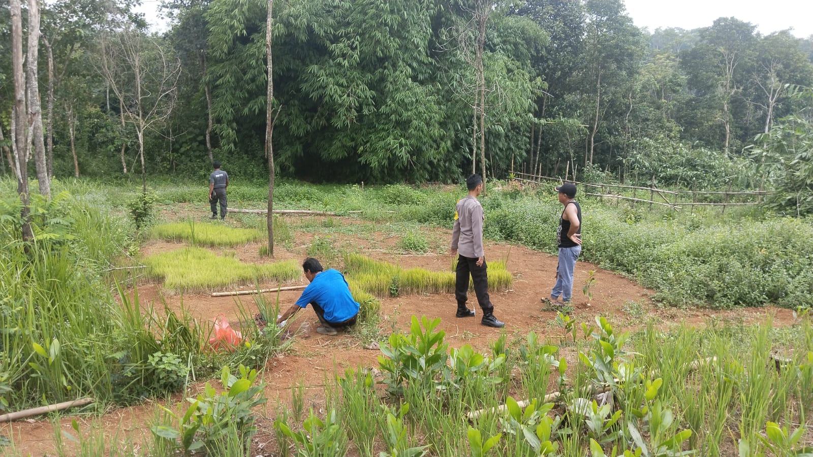 TKP pembacokan ayah kandung di Kecamatan Tenjo, Kabupaten Bogor.
