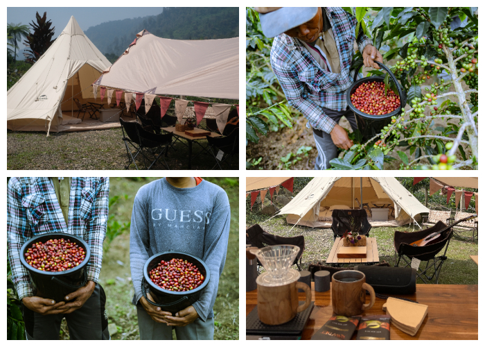 Rawdee Glamping terletak tepat di tengah-tengah perkebunan kopi di Desa Sinarjaya, Kecamatan Sukamakmur, Kabupaten Bogor, Jawa Barat. Foto rawdee.id