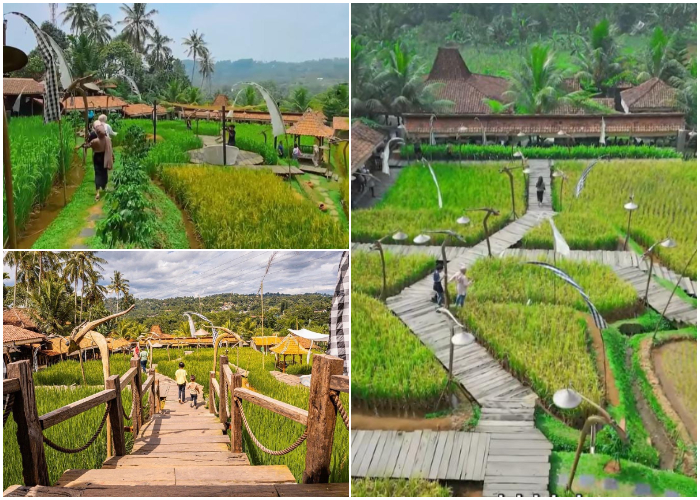 Resto Ngopi Di Sawah, yang lokasinya di Jalan Puri Cemara No. 90, Desa Gadog, Kecamatan Megamendung, Kabupaten Bogor, Jawa Barat.