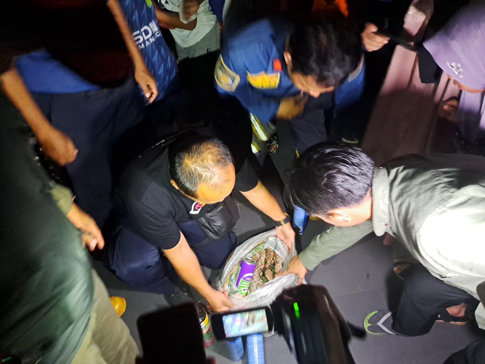 Petugas Pemadam Kebakaran (Damkar) dan BPBD Kota Bogor, berhasil mengevakuasi sarang tawon di tengah kondisi gelap gulita pada Kamis (22/2/2024) malam. Foto: Reka/Radar Bogor