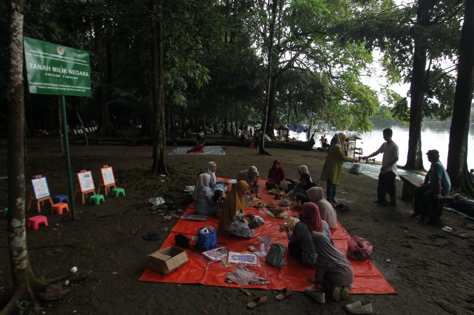 Hutan Cifor jadi Kebun Raya ke dua.,foto : sofyan Radar Bogor
