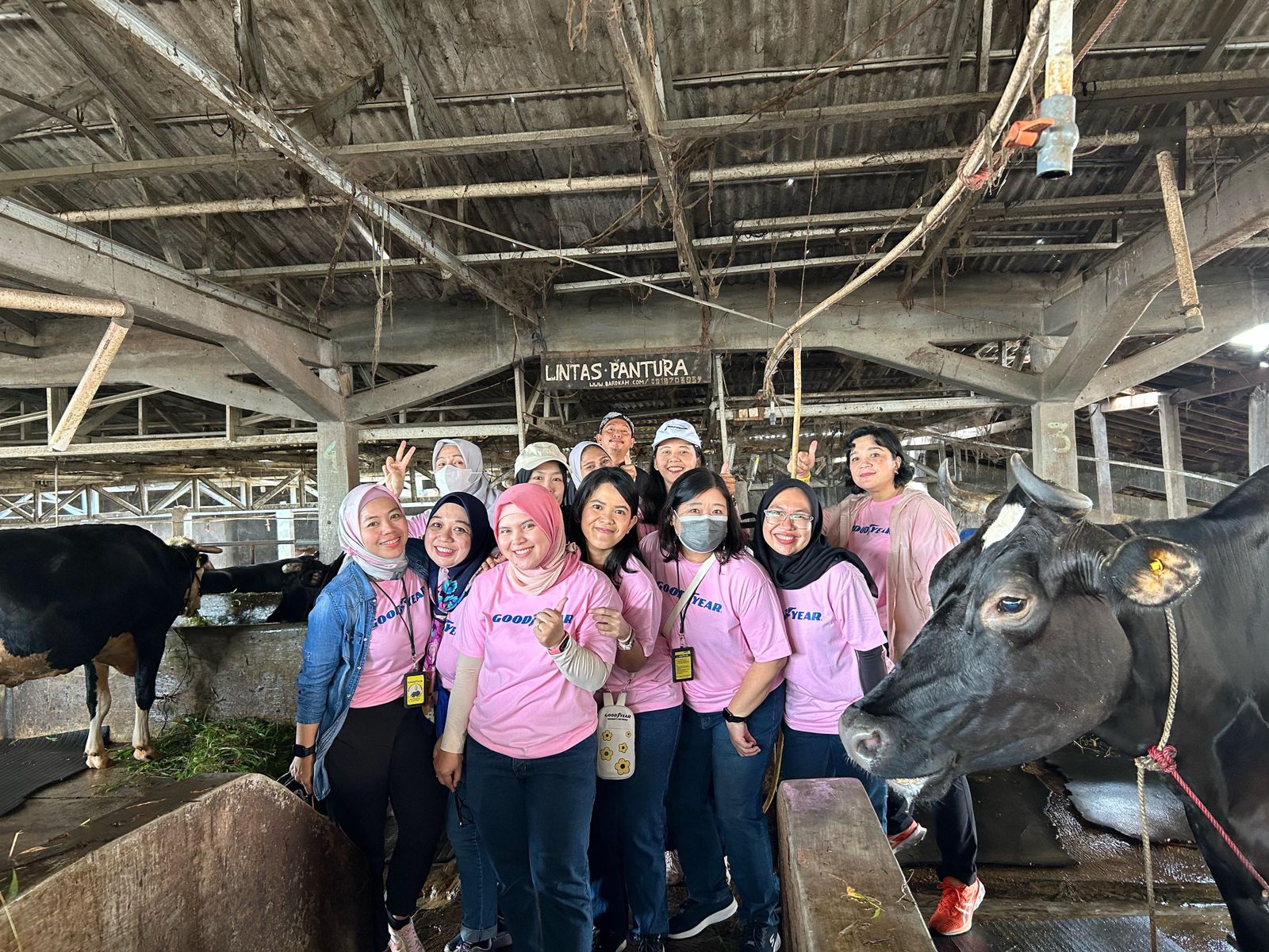 Goodyear Women’s Network (GWN) melakukan kunjungan edukatif ke peternakan susu UMKM Kampung Peternakan Sapi Perah Kebon Pedes, Kota Bogor, Rabu (13/3/2024).