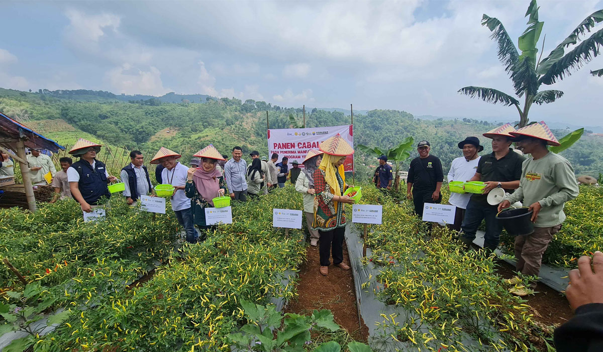 Program Kementan YESS PPIU Jabar Optimalkan Petani Cianjur