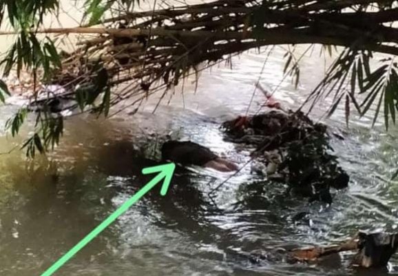 Mayat pria yang ditemukan di Sungai Kranji Kelurahan Sukahati, Kecamatan, Cibinong, Kabupaten Bogor.
