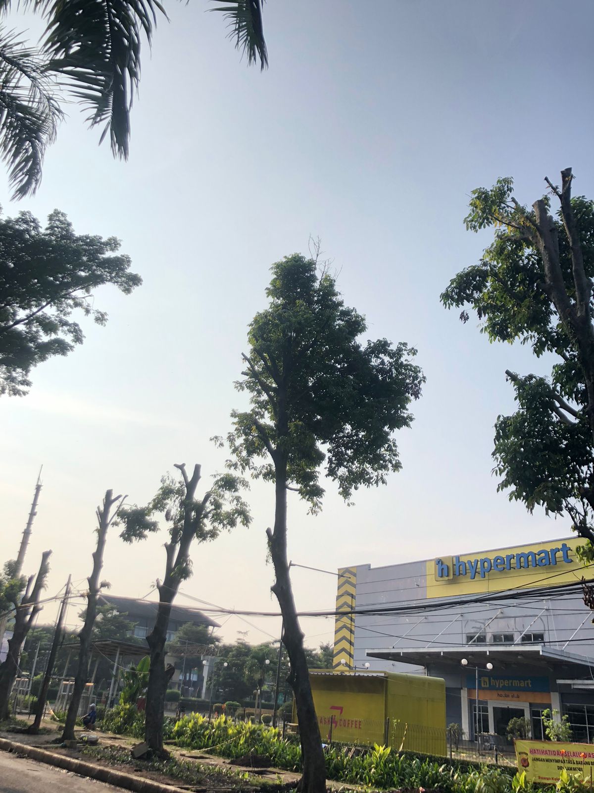 Pemangkasan pohon di kawasan Hypermart Taman Yasmin, Jl. KH. R. Abdullah Bin Nuh, diduga tidak berizin sehingga menuai tanggapan dari aliansi BEM Bogor Raya.