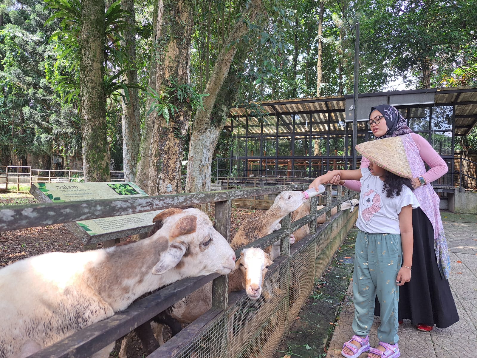 Pengunjung Kuntum Farmfield yang berlokasi di Jalan Raya Tajur, Kelurahan Sindangrasa, Kecamatan Bogor Timur, Kota Bogor. Foto: Reka/Radar Bogor