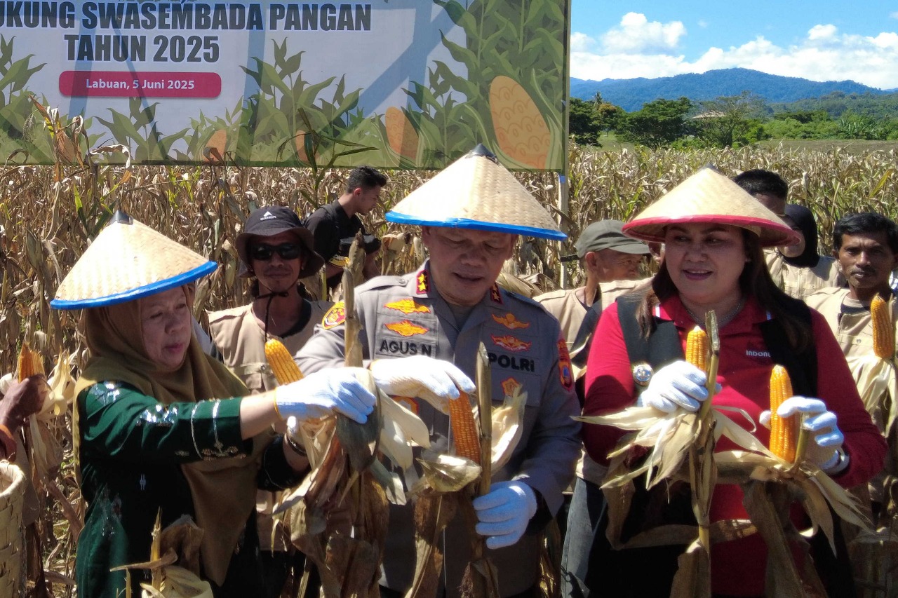 Wakil Gubernur Renny Lamadjido dampingi Forkopimda Sulteng saat ikuti panen raya jagung via Zoom dari Donggala, Kamis (5/6/2025).