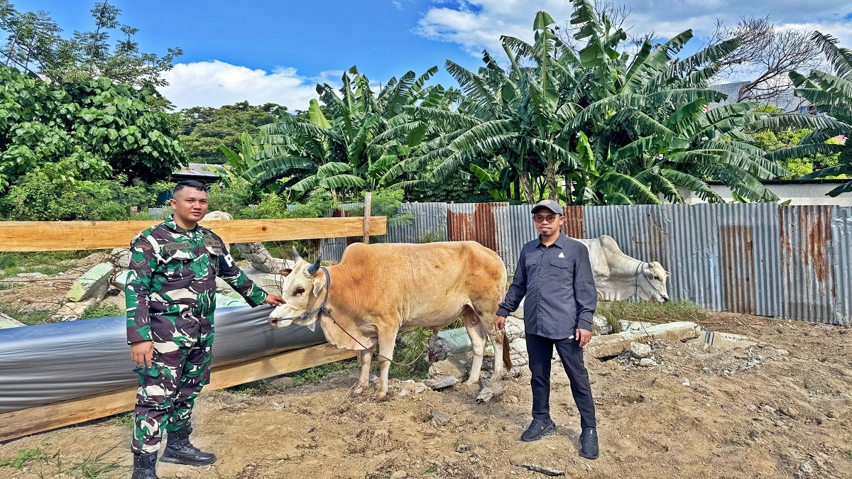 Humas Trinusa Group Mario Agung Ranu menyerahkan sapi kurban kepada salah satu mitra instansi di Kota Palu. (Foto:IST)
