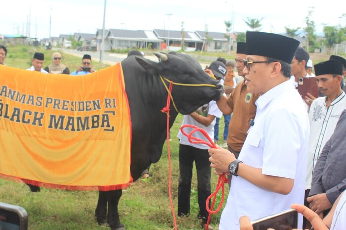 KURBAN IDUL ADHA : Menteri P2MI / Kepala BP2MI saat menyerahkan sapi kurban Presiden Prabowo di Huntap Petobo, Kota Palu, Sulawesi Tengah.