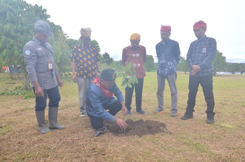 Kepala Dinas Pariwisata Kabupaten Poso, Yusak Mentara, melakukan penanaman pohon mahoni secara simbolis di kawasan Situs Megalitikum Pokekea, Jumat (27/6).